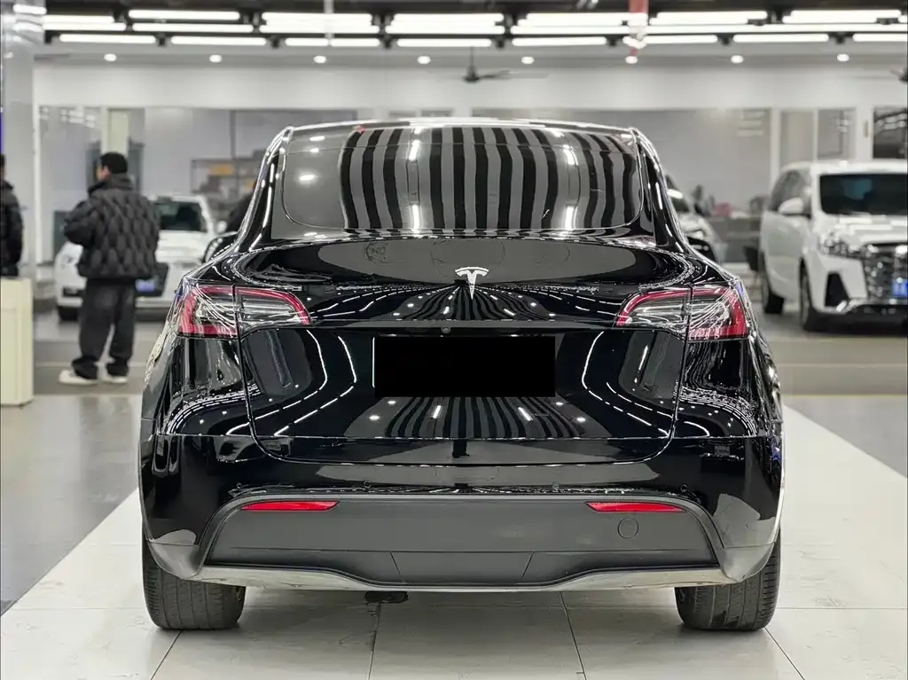Tesla Model Y 2021 из CN, фото 2