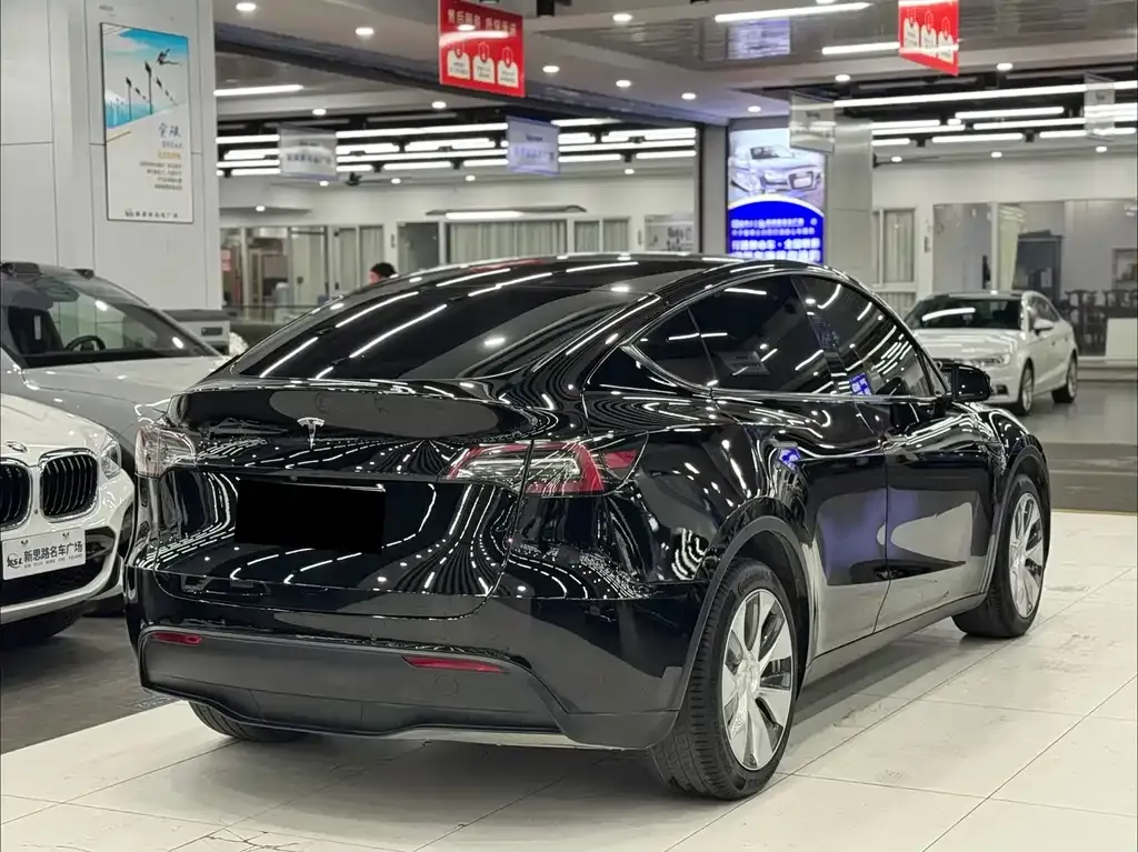 Tesla Model Y 2021 из CN, фото 8