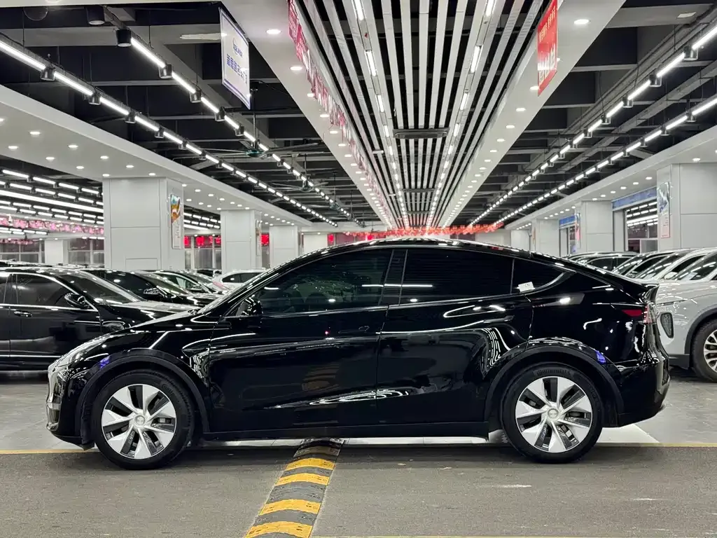 Tesla Model Y 2021 из CN, фото 7