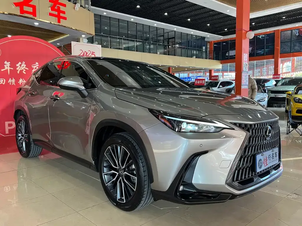 Lexus NX 2021 из CN, фото 5