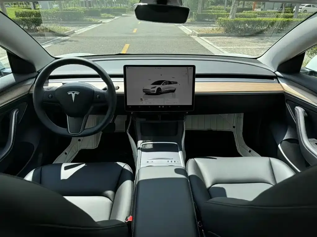 Tesla Model 3 2023 из CN, фото 9