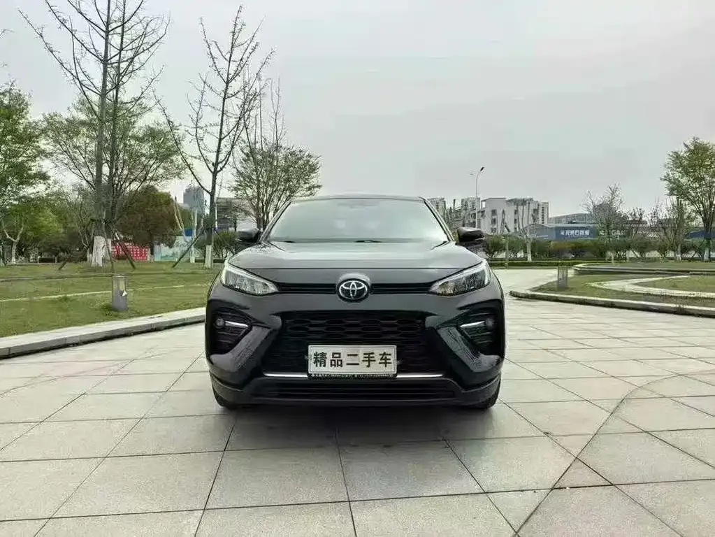 Toyota Wildlander 2021 из CN, фото 6
