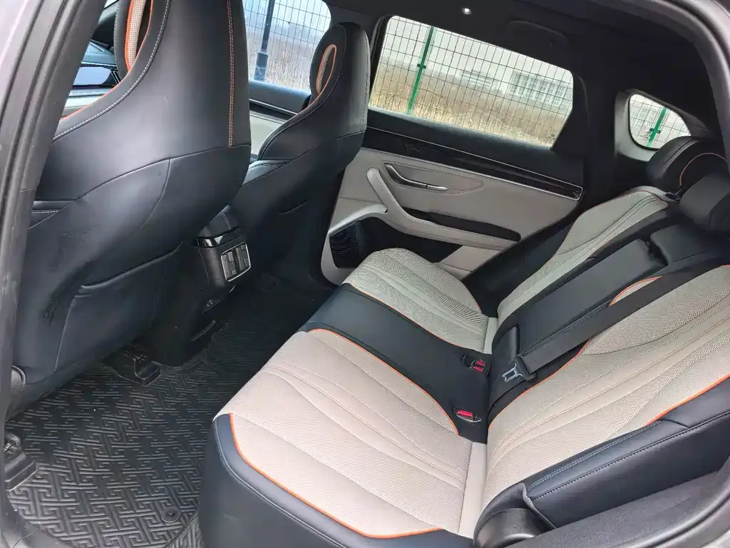 BYD PLUS New Energy 2023 из CN, фото 6