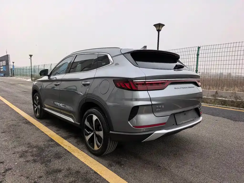 BYD PLUS New Energy 2023 из CN, фото 3