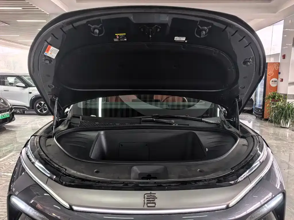 BYD Tang L 2025 из CN, фото 2