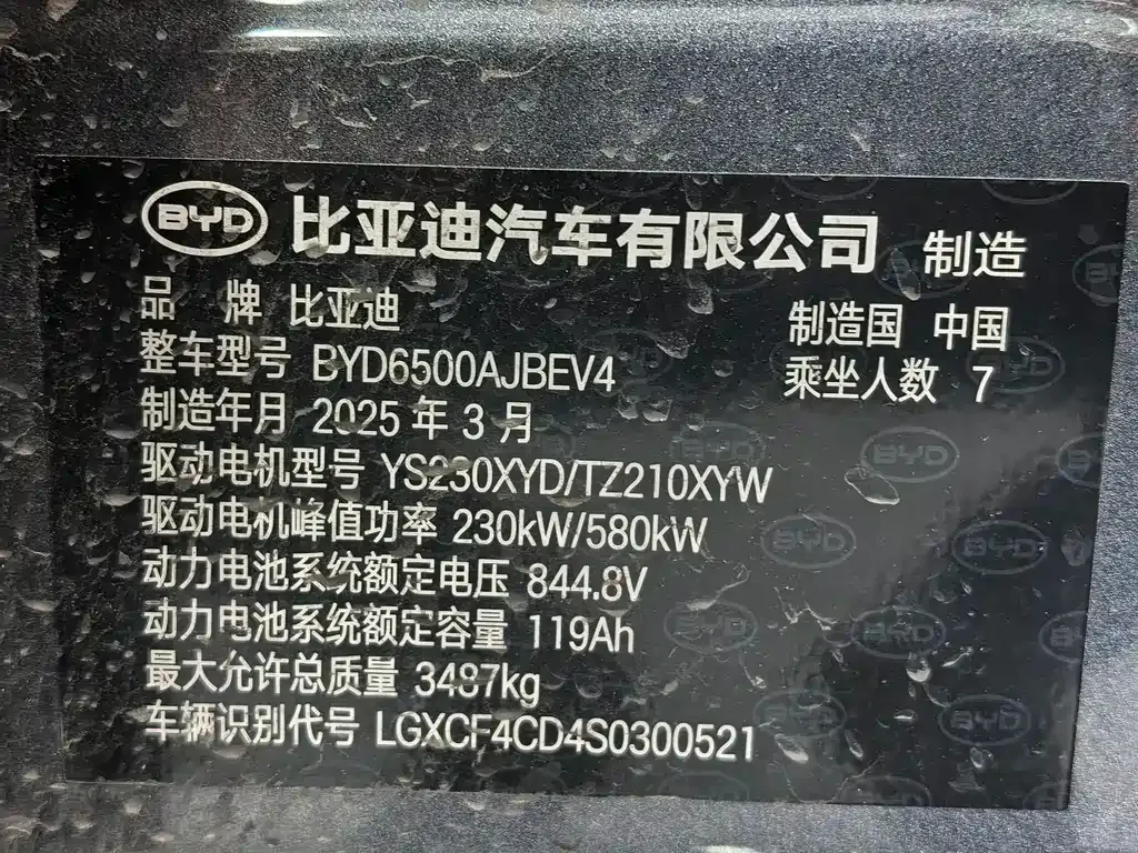 BYD Tang L 2025 из CN, фото 6