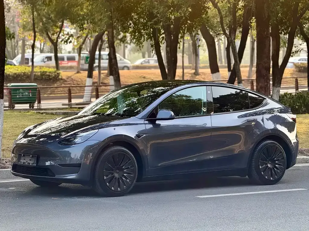 Tesla Model Y 2022 из CN, фото 1