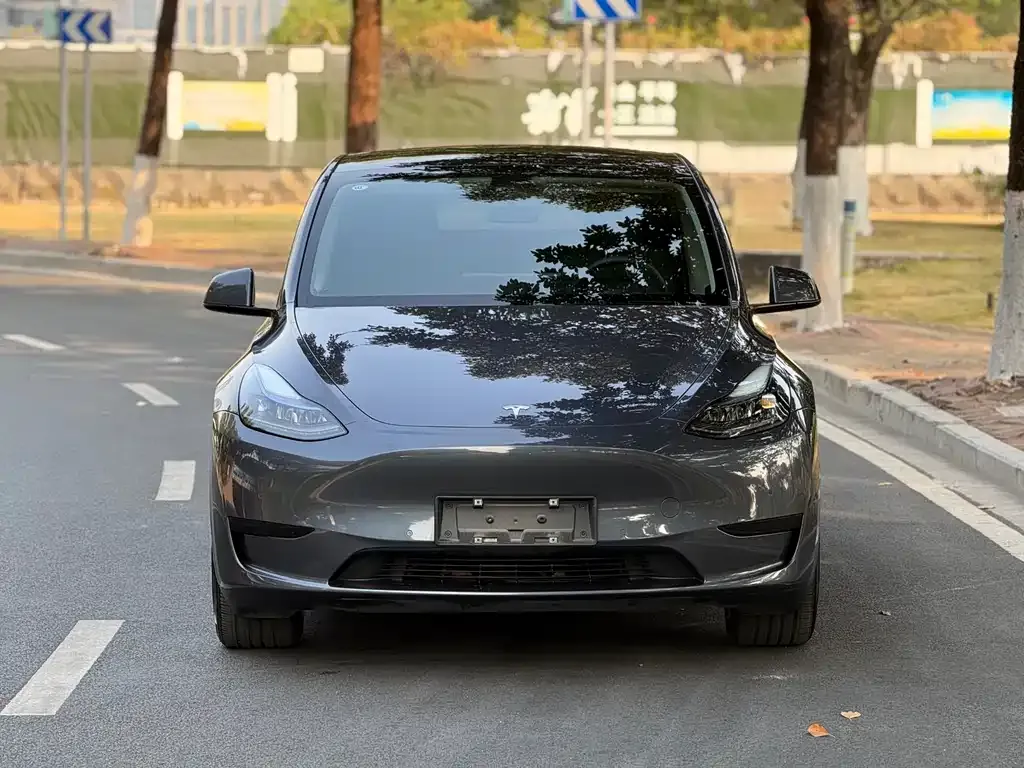 Tesla Model Y 2022 из CN, фото 8