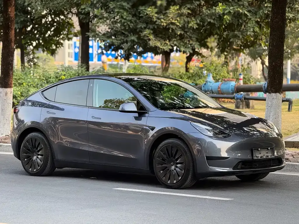 Tesla Model Y 2022 из CN, фото 4