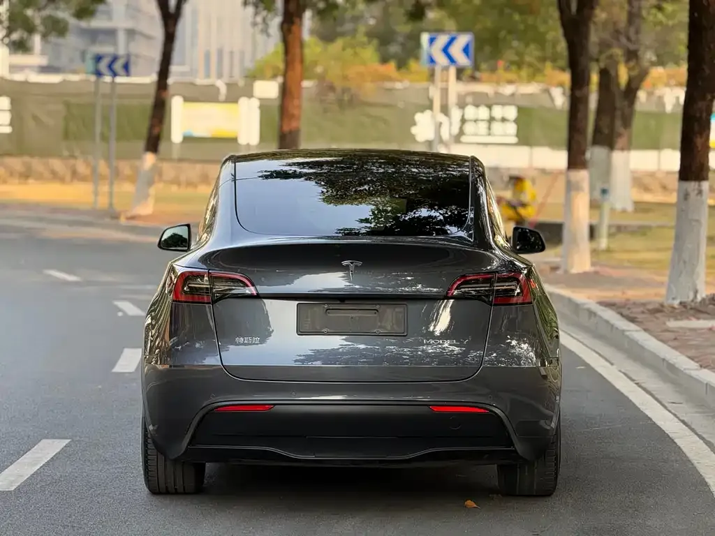 Tesla Model Y 2022 из CN, фото 6