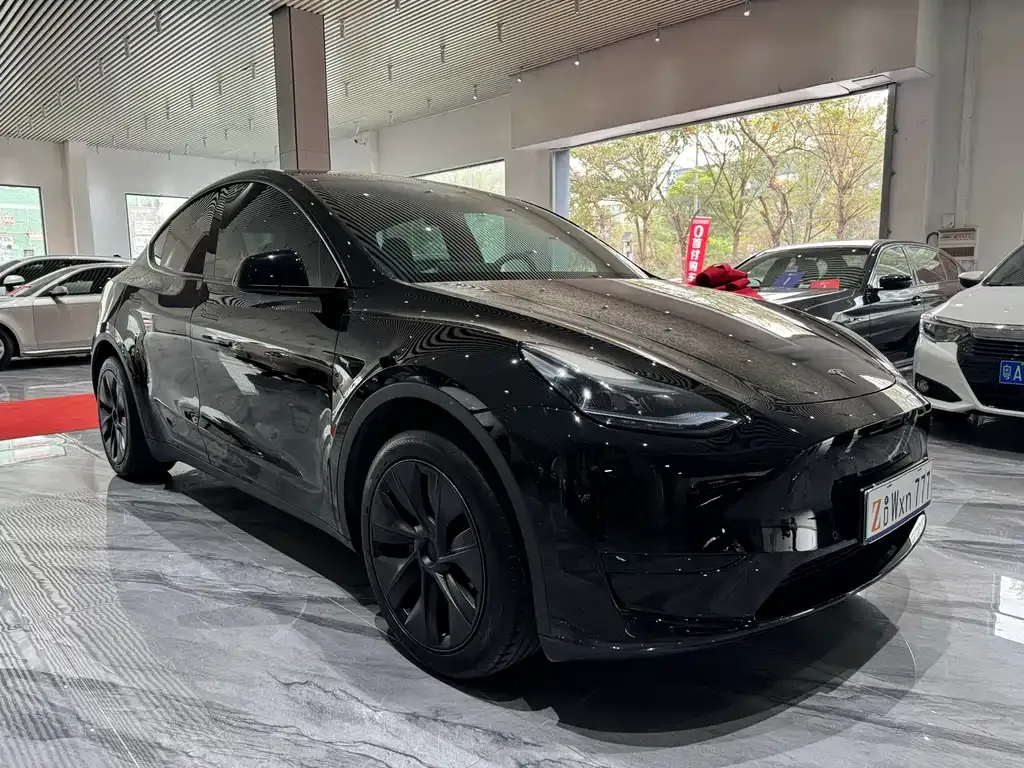 Tesla Model Y 2024 из CN, фото 6