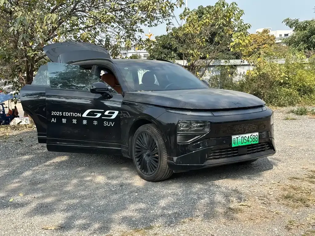 XPeng G9 2025 из CN, фото 2