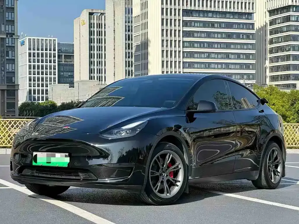 Tesla Model Y — фото 1