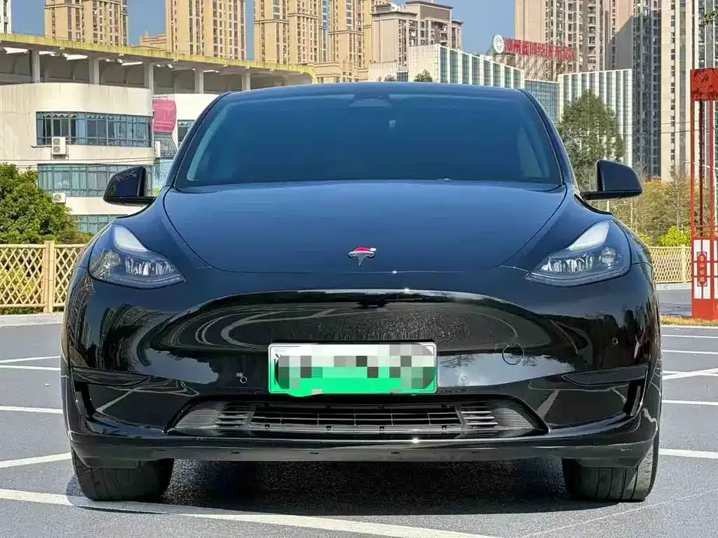 Tesla Model Y — фото 5