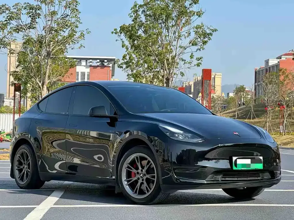 Tesla Model Y — фото 9