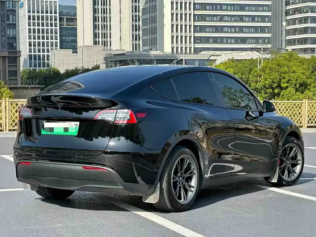 Tesla Model Y — фото 2