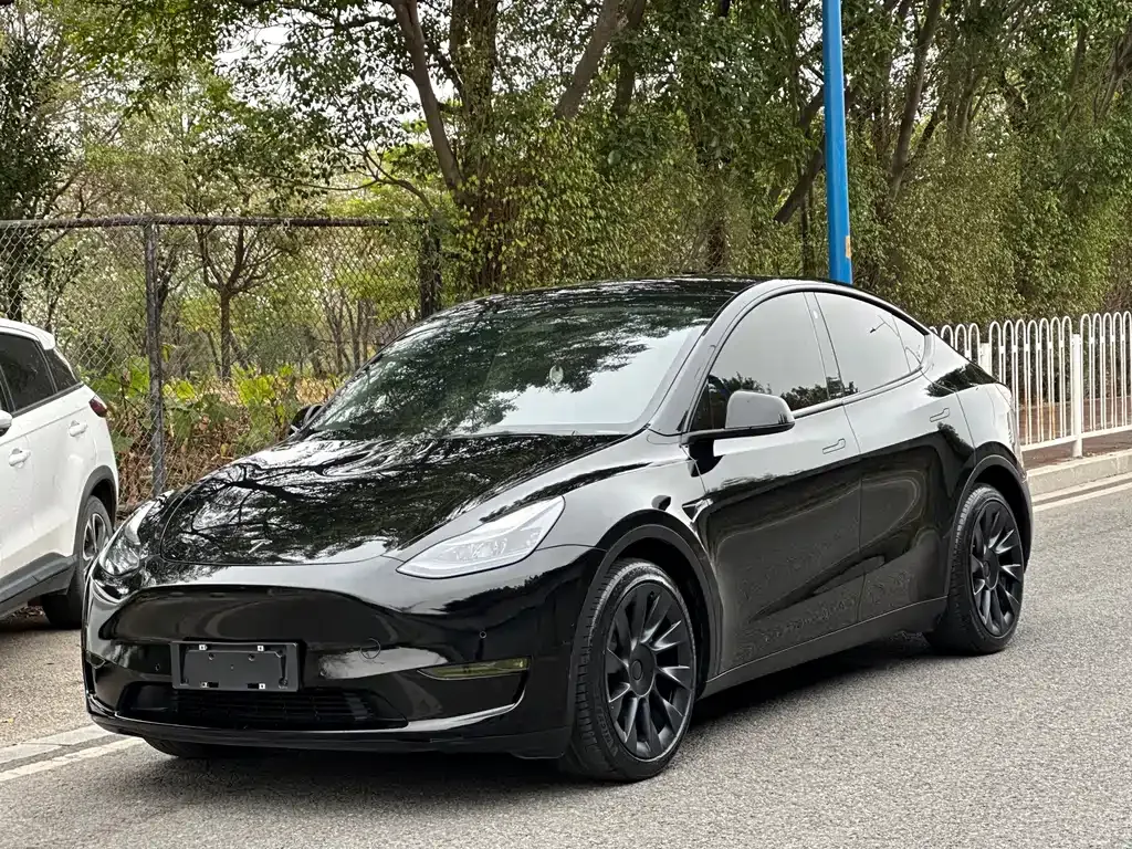 Tesla Model Y 2021 из CN, фото 1
