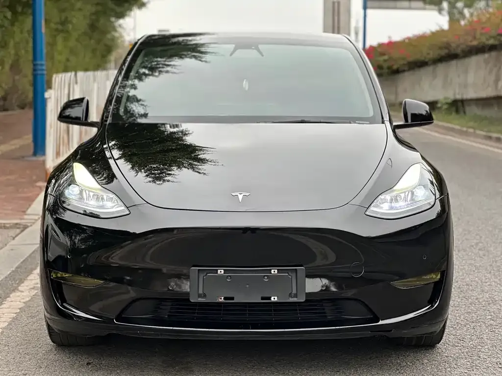 Tesla Model Y 2021 из CN, фото 7