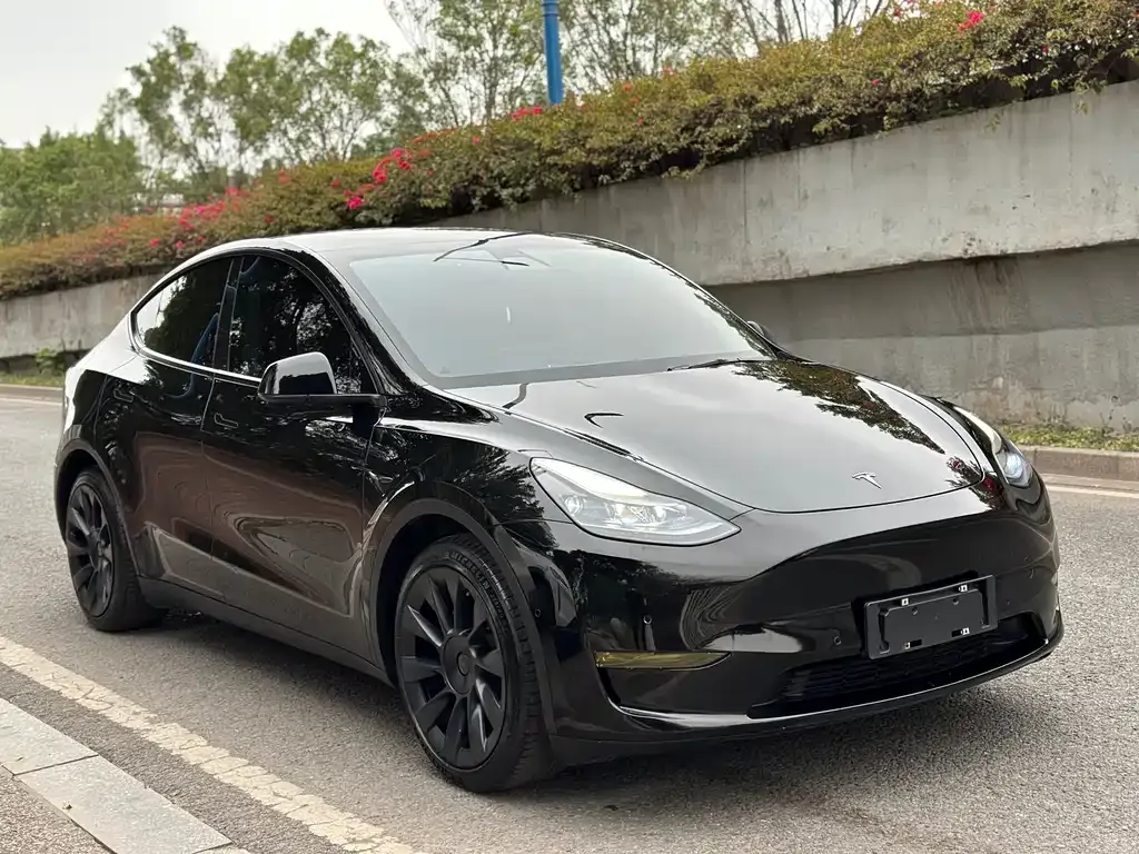 Tesla Model Y 2021 из CN, фото 8