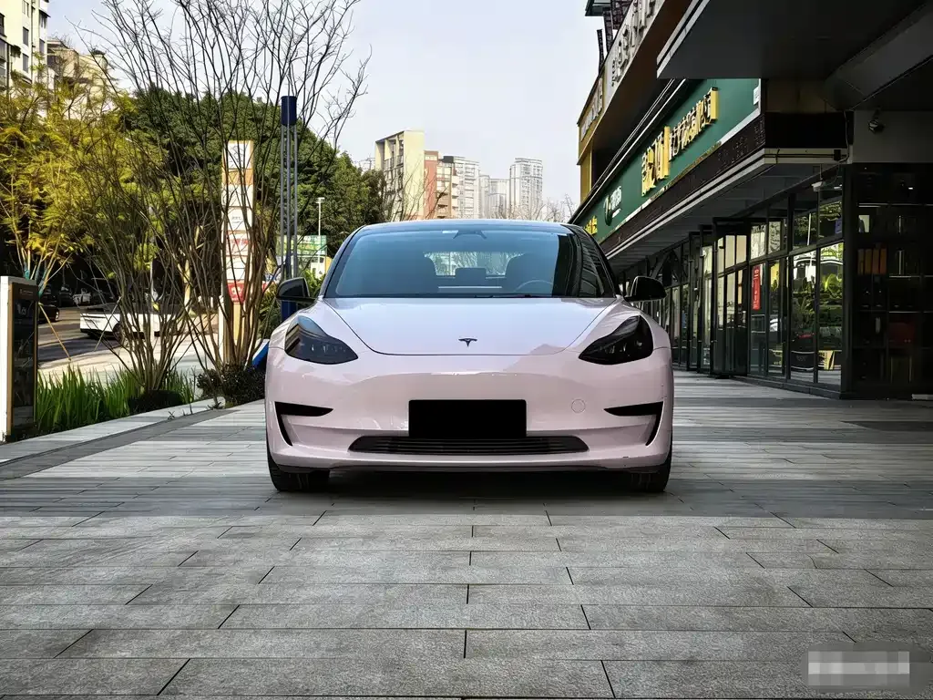 Tesla Model 3 2022 из CN, фото 9