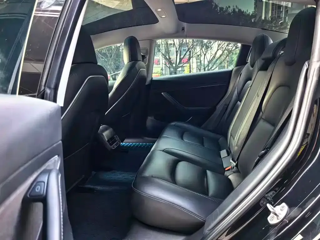 Tesla Model 3 2022 из CN, фото 6