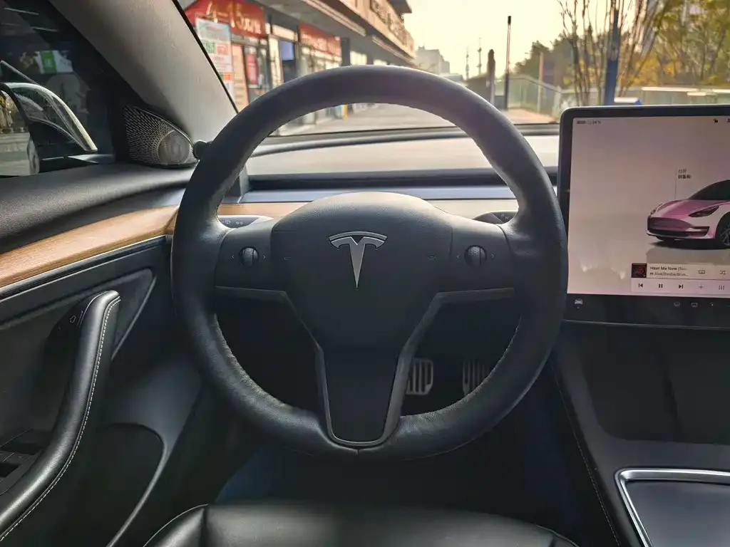 Tesla Model 3 2022 из CN, фото 3
