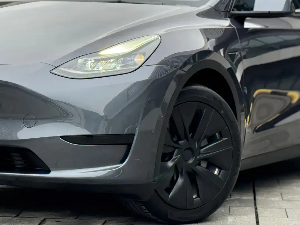 Tesla Model Y 2022 из CN, фото 4