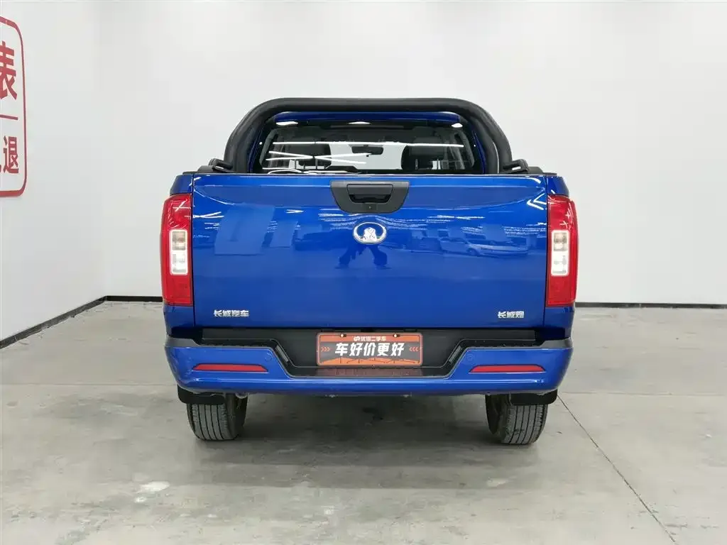 Great Wall Pao 2021 из CN, фото 10