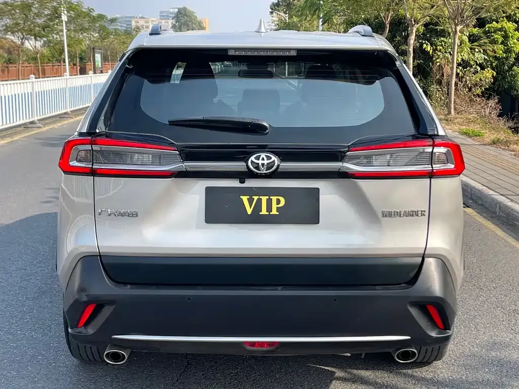 Toyota Wildlander 2024 из CN, фото 4