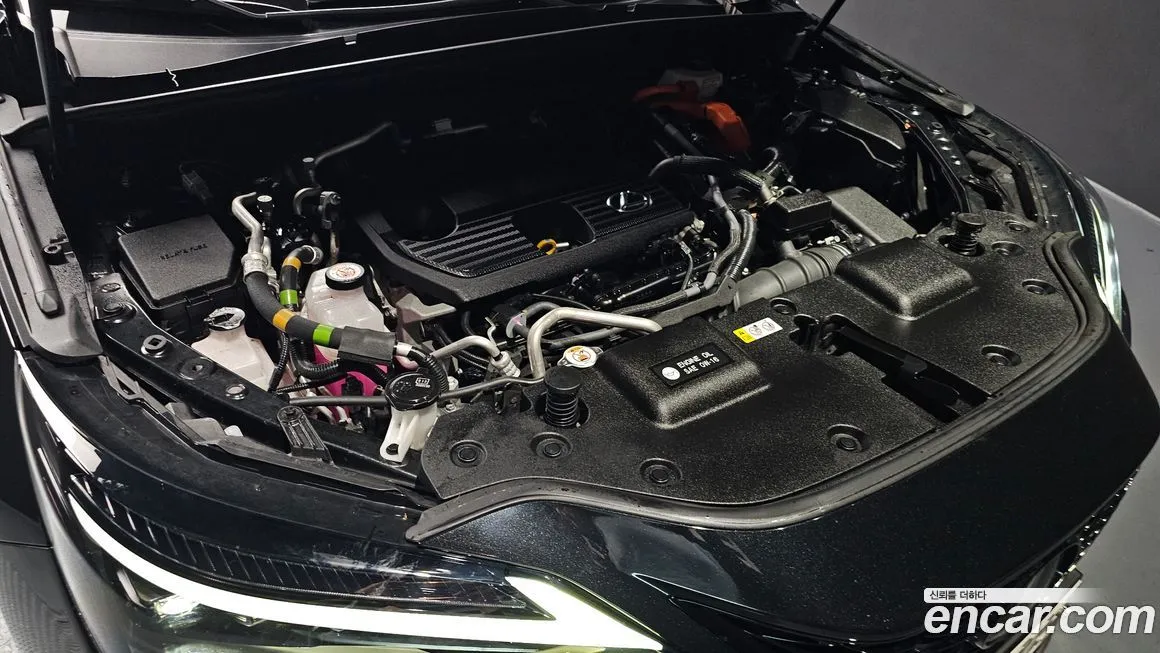 Lexus NX 2022 из KR, фото 10