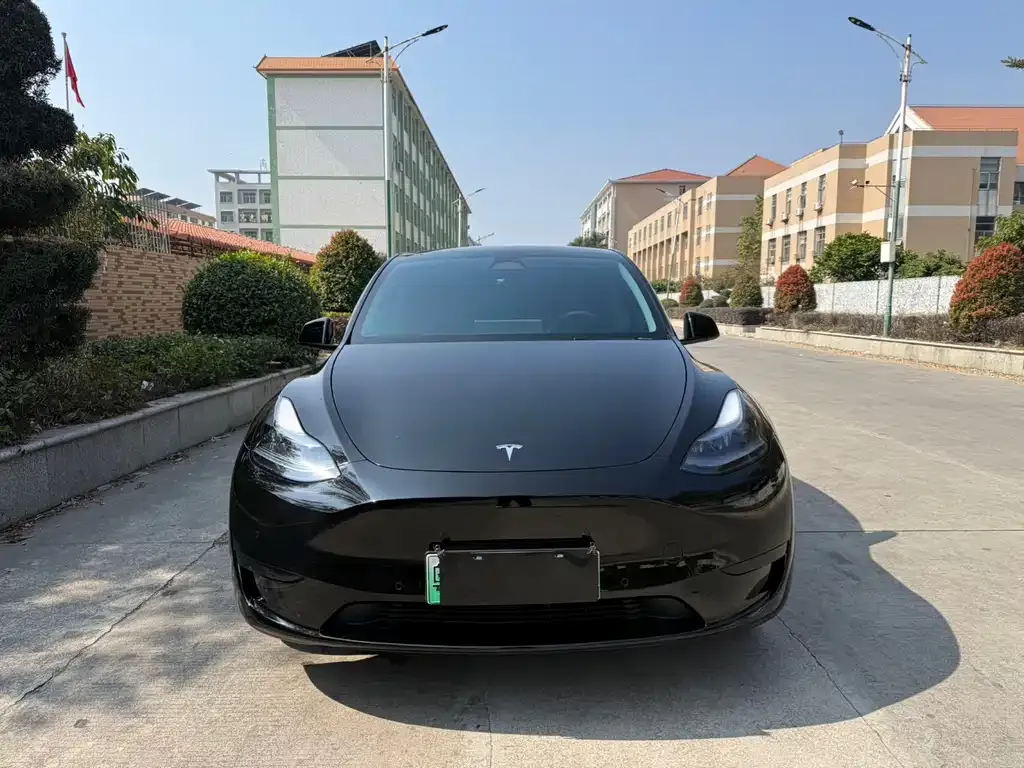 Tesla Model Y 2023 из CN, фото 2