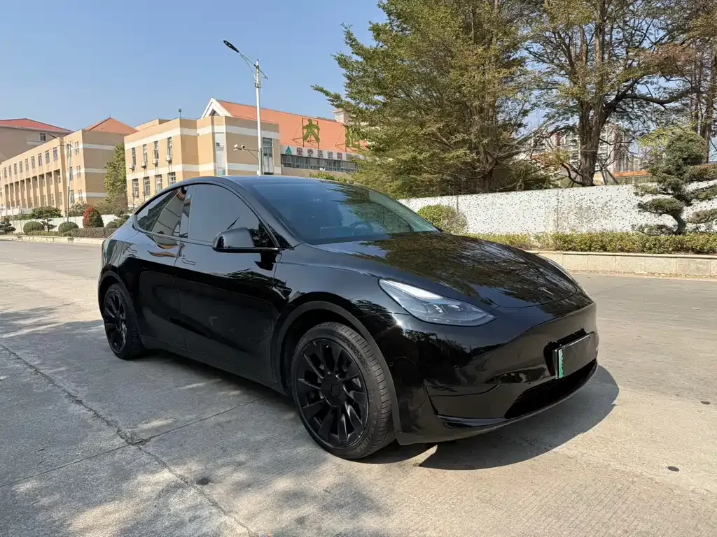 Tesla Model Y 2023 из CN, фото 8