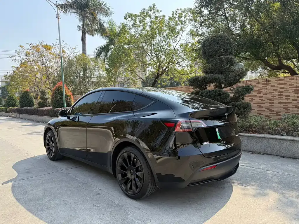 Tesla Model Y 2023 из CN, фото 9