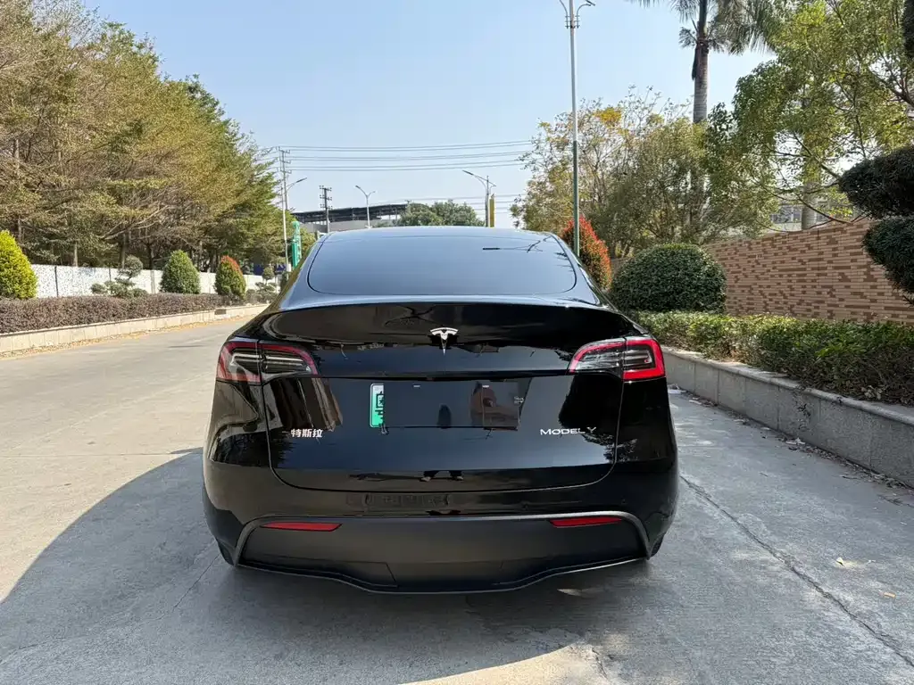 Tesla Model Y 2023 из CN, фото 7
