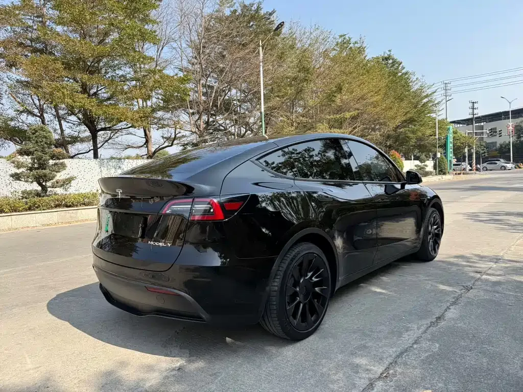 Tesla Model Y 2023 из CN, фото 10