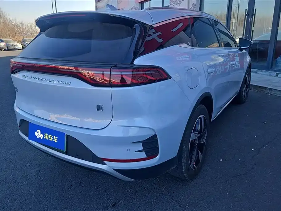 BYD Tang New Energy 2024 из CN, фото 8