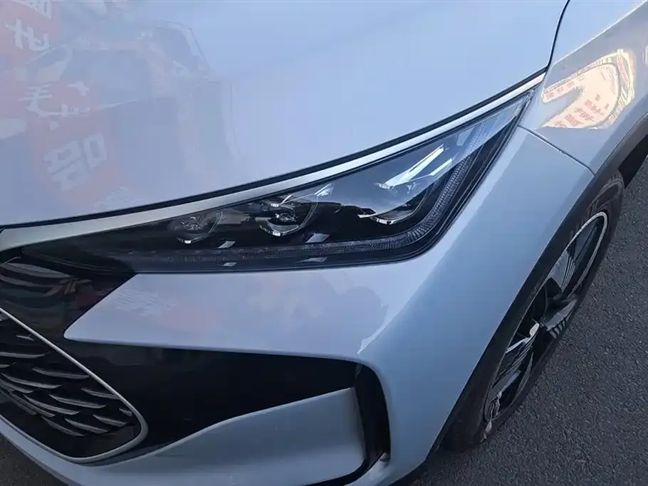 BYD Tang New Energy 2024 из CN, фото 2