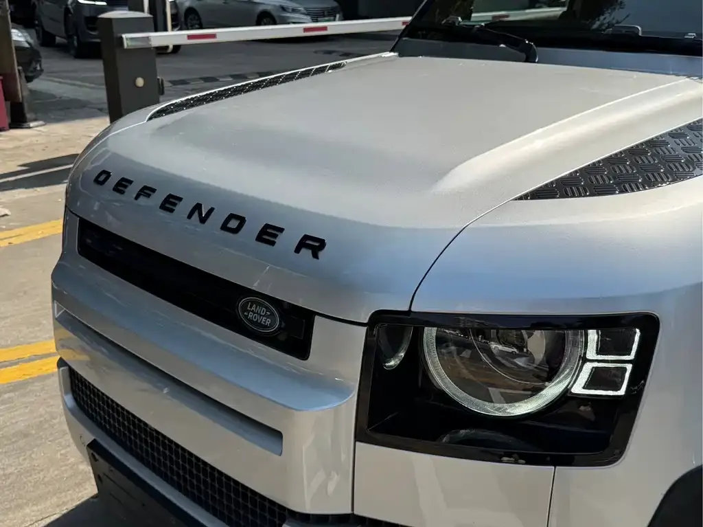 Land Rover Defender 2021 из CN, фото 3