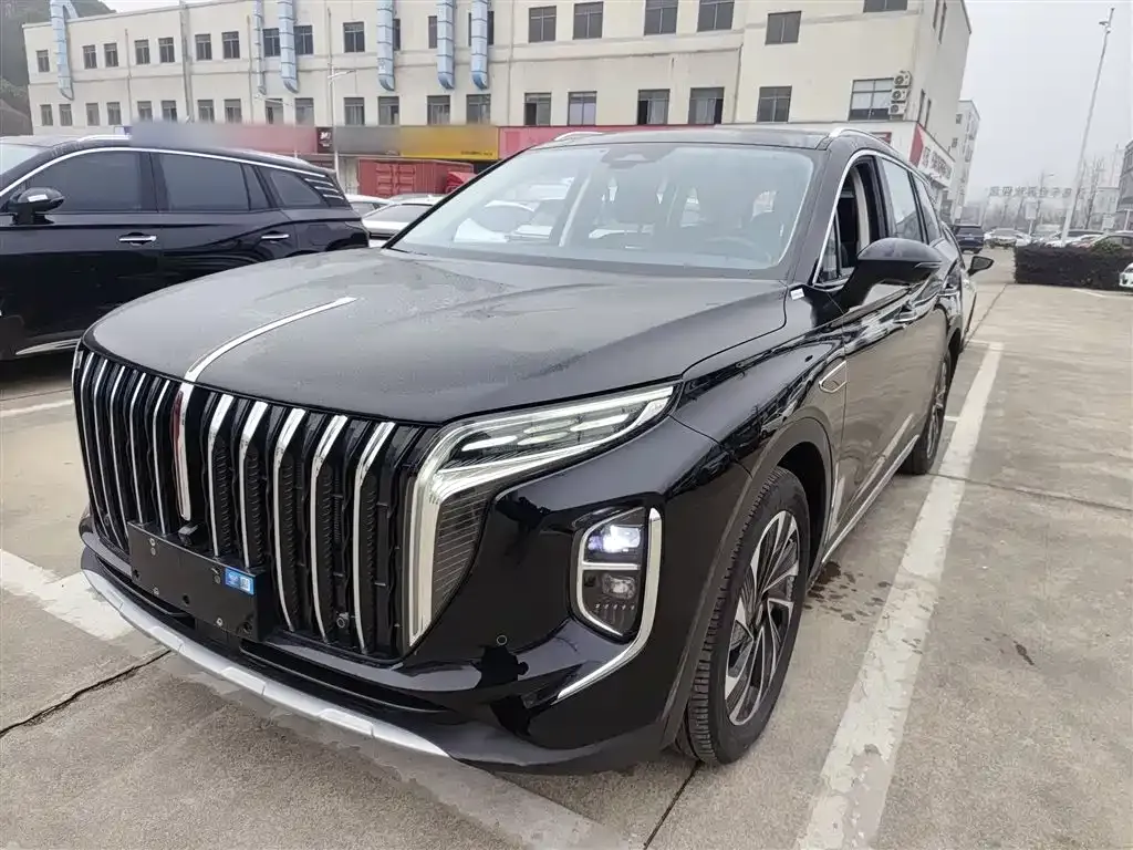 Hongqi HS7 PHEV 2024 из CN, фото 3
