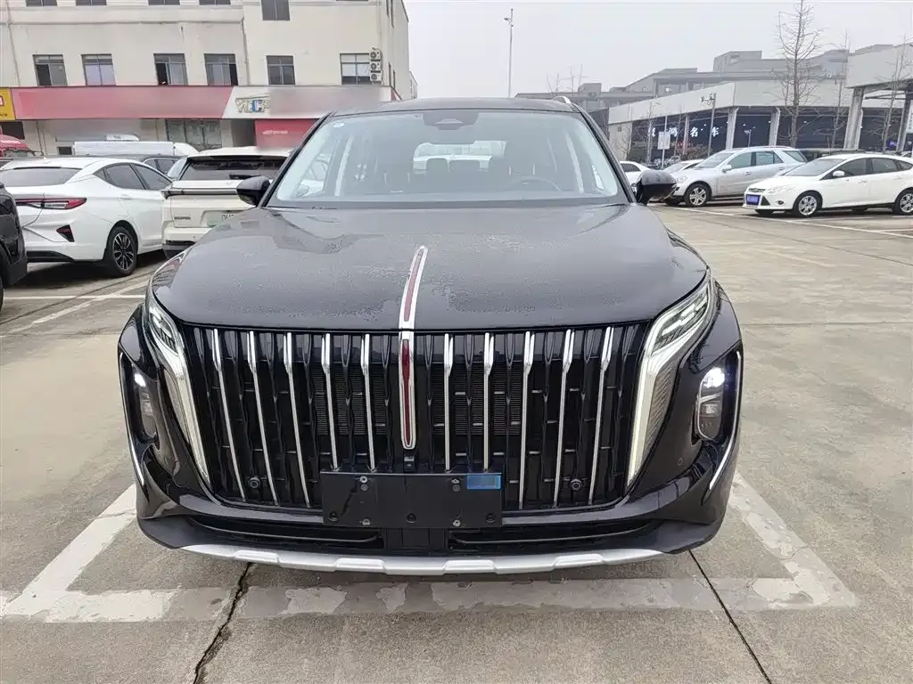 Hongqi HS7 PHEV 2024 из CN, фото 2