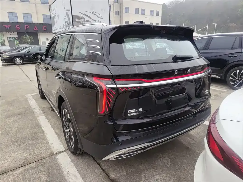 Hongqi HS7 PHEV 2024 из CN, фото 5
