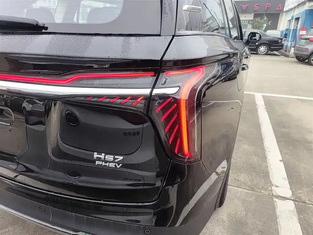Hongqi HS7 PHEV 2024 из CN, фото 8