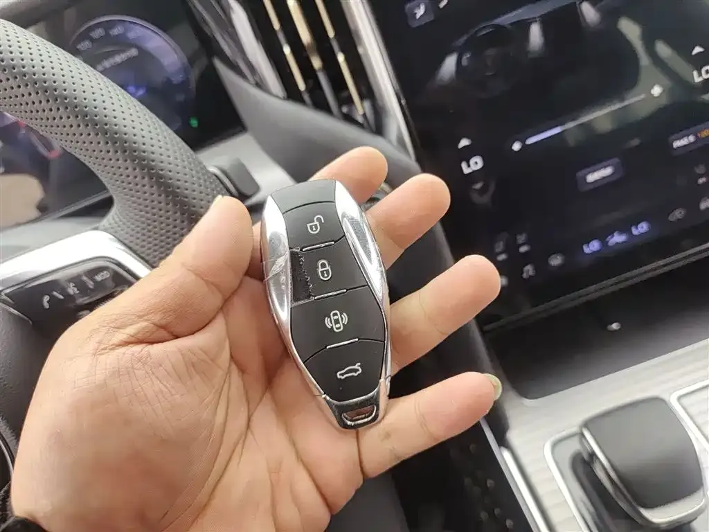 Hongqi HS7 PHEV 2024 из CN, фото 10
