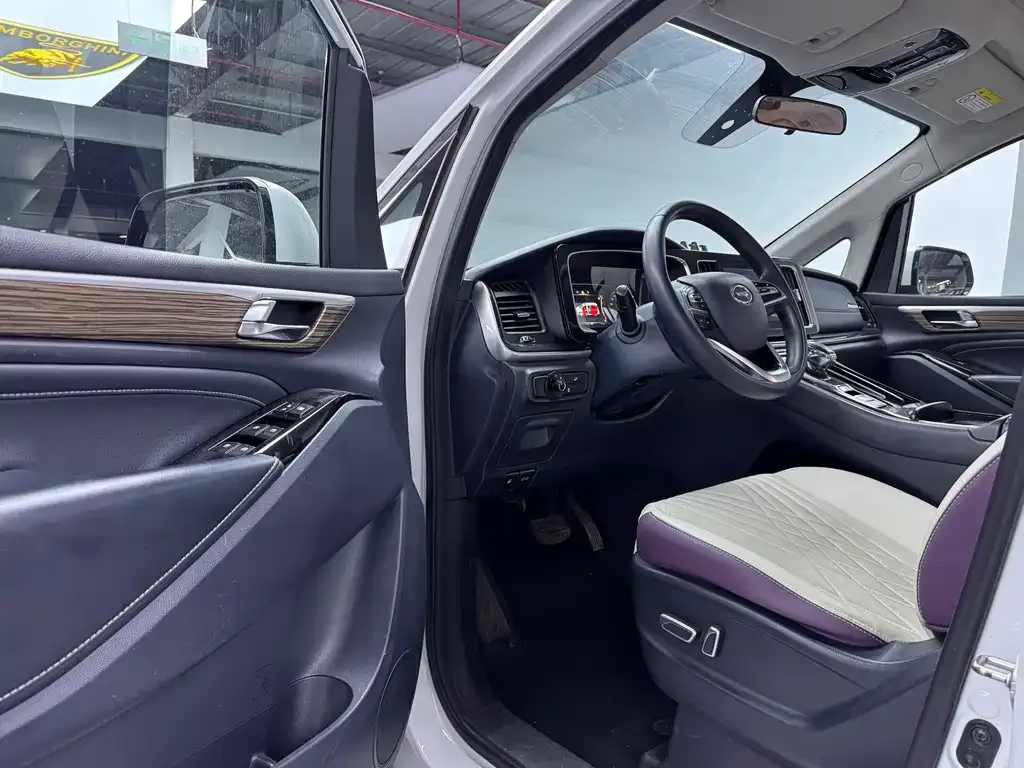 GAC Motor Trumpchi M8 2021 из CN, фото 6
