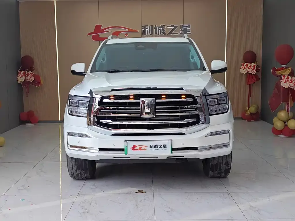 Tank 500 New Energy 2024 из CN, фото 10