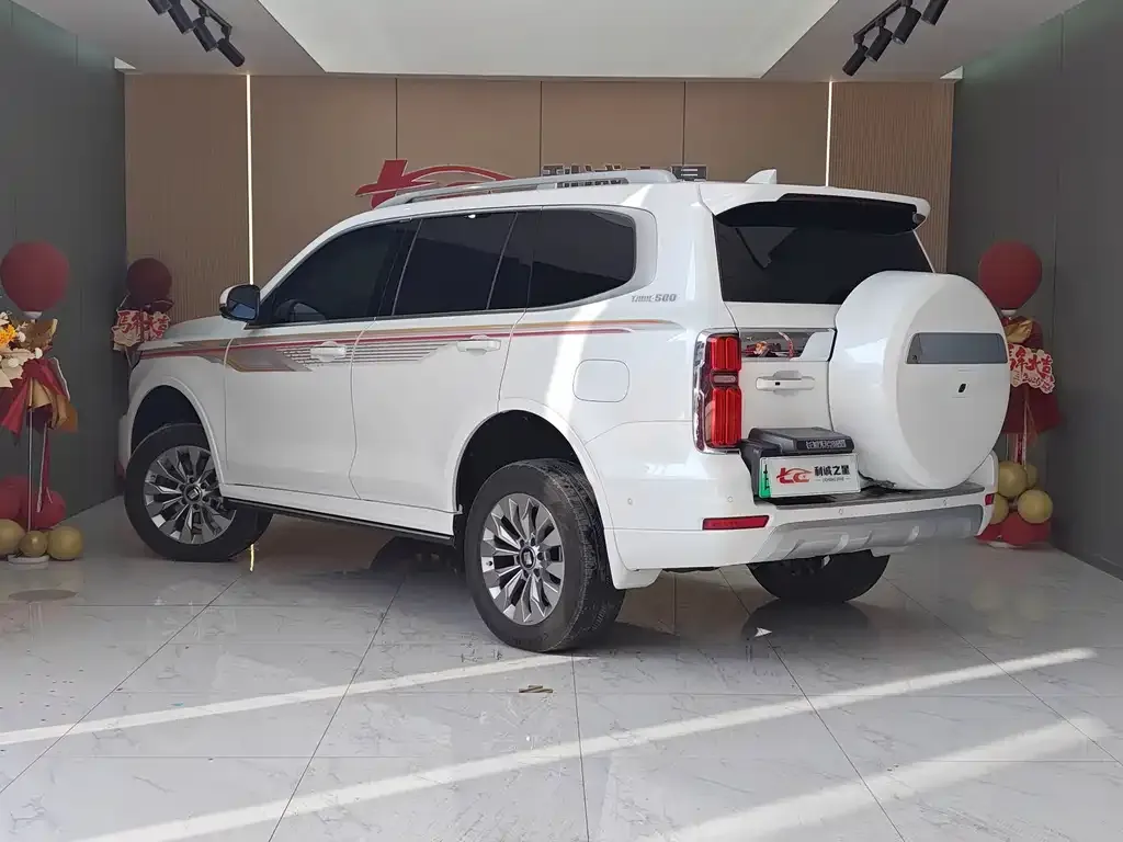 Tank 500 New Energy 2024 из CN, фото 9