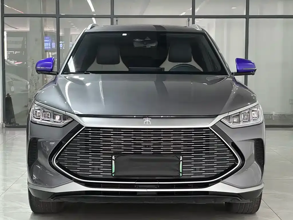 BYD PLUS 2022 из CN, фото 2