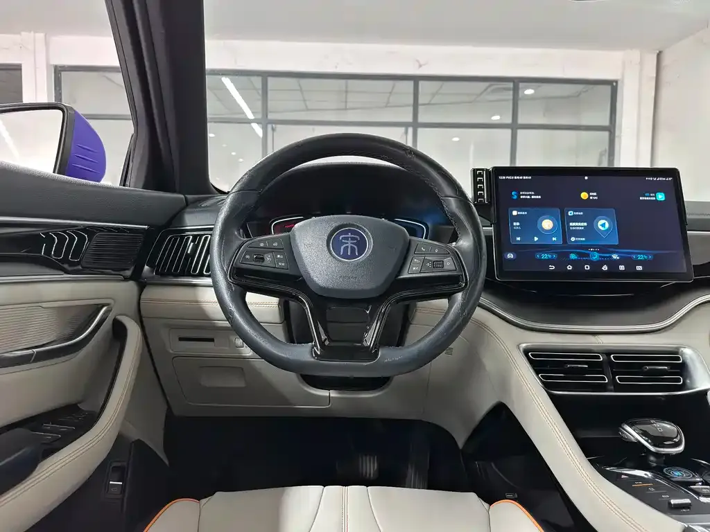 BYD PLUS 2022 из CN, фото 6