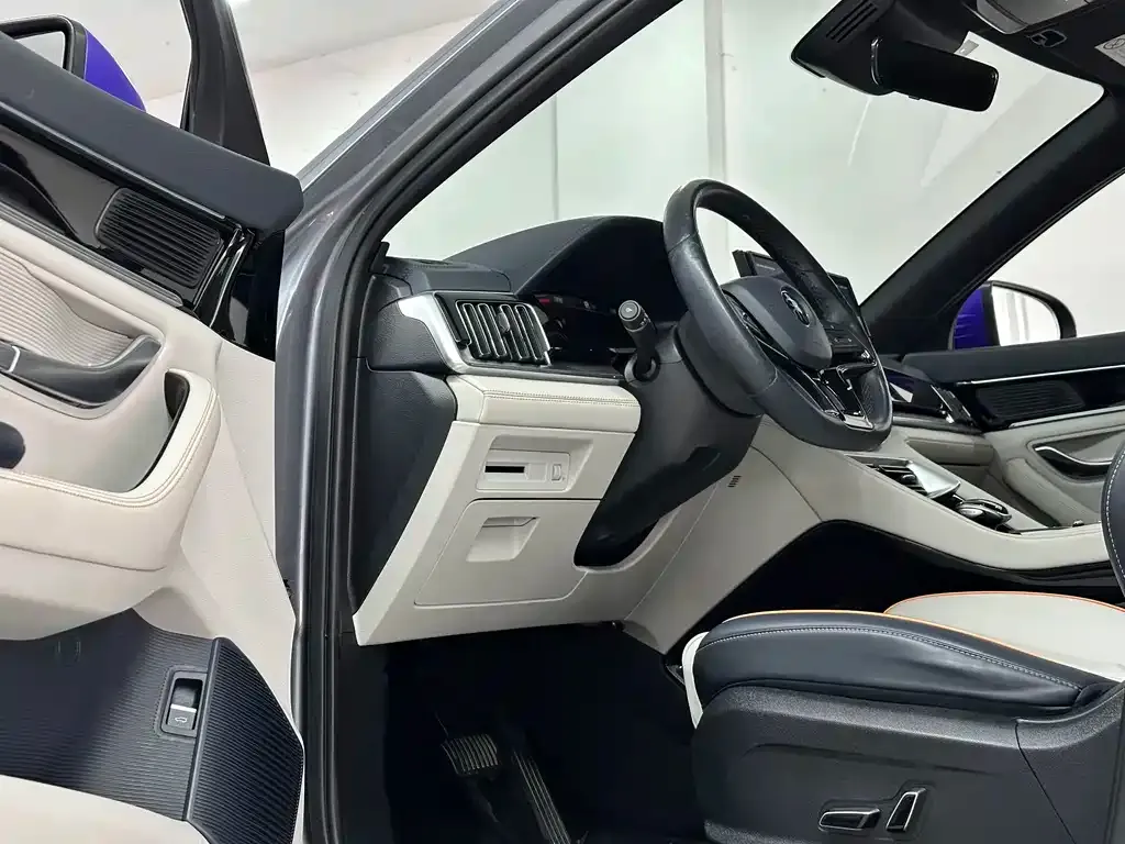 BYD PLUS 2022 из CN, фото 5