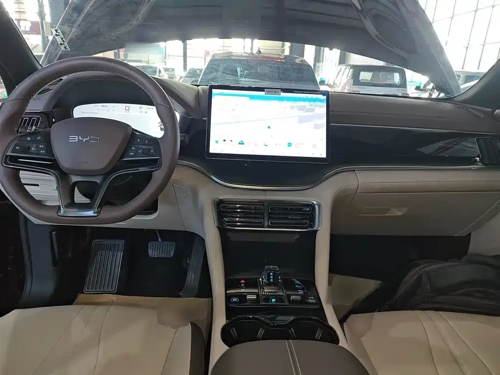 BYD PLUS New Energy 2025 из CN, фото 3